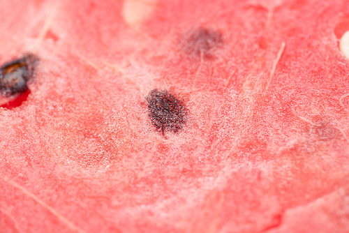 close up view of delicious juicy watermelon with seeds