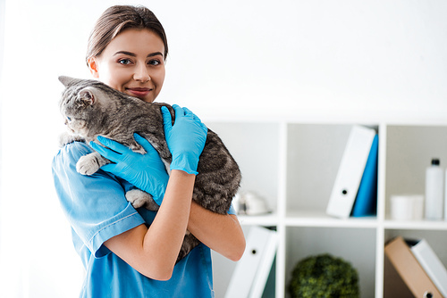 smiling veterinarian  while holding grey tabby cat on hands