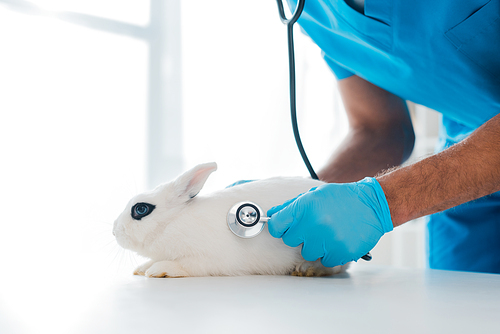 cropped view of veterinarian examining cute white rabbit with stethoscope