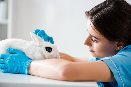 young, positive veterinarian examining cute white rabbit sitting on table