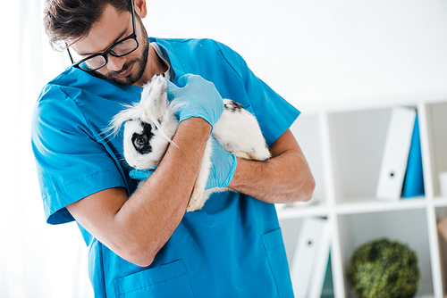 young veterinarian holding cute black and white rabbit on hands