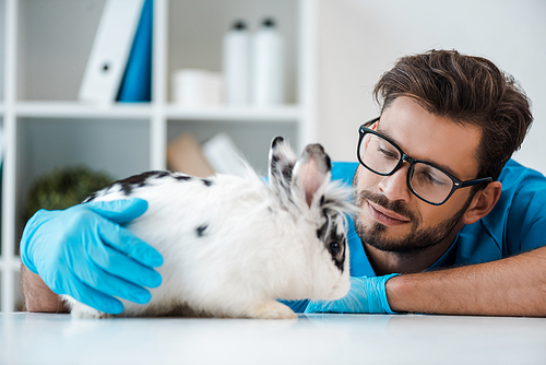 young, positive veterinarian looking at cute spotted rabbit sitting on table