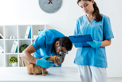 young veterinarian examining ears of red cat with otoscope while colleague writing on clipboard