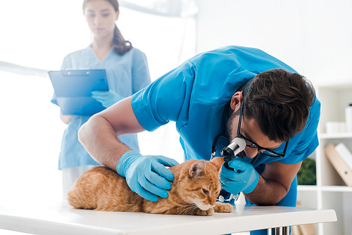 selective focus of veterinarian examining ears of red cat with otoscope while colleague writing on clipboard