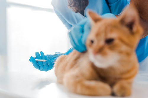 cropped view of veterinarian making injection to red cat