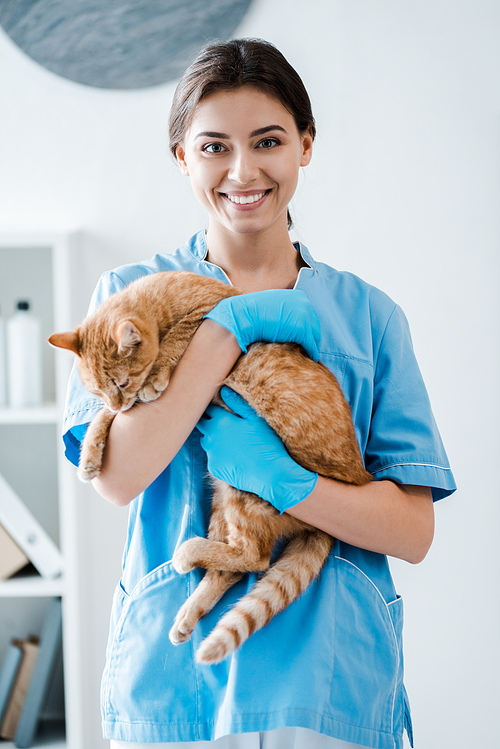 young cheerful veterinarian smiling at camera while holding cute red cat on hands