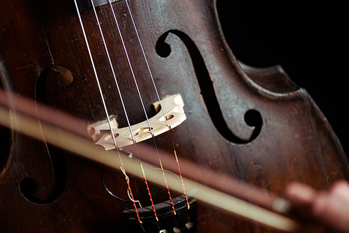 close up of double bass and bow