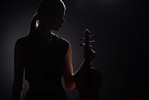 silhouette of female musician holding classical violin on dark stage