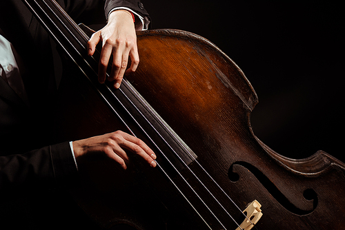 cropped view of musician playing on double bass isolated on black
