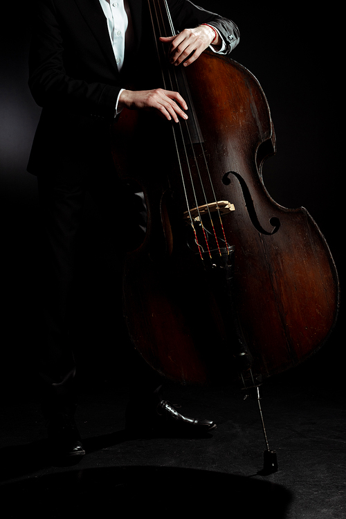 cropped view of professional musician playing on double bass on dark stage