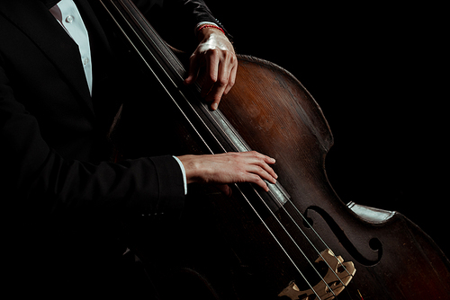 cropped view of male professional musician playing on contrabass isolated on black