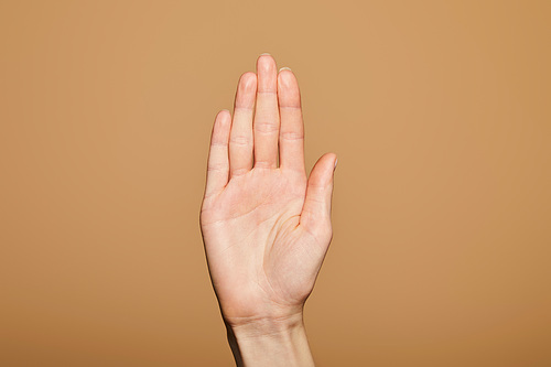 cropped view of man showing palm isolated on beige