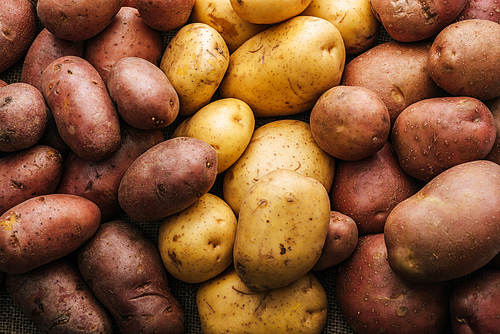 organic raw potatoes on white background