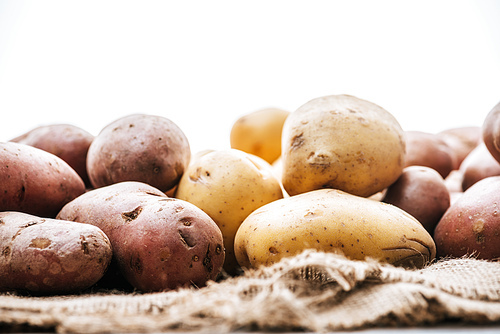 selective focus of organic raw potatoes on brown rustic sackcloth isolated on white