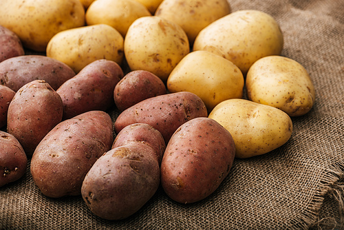 organic raw potatoes on brown rustic sackcloth