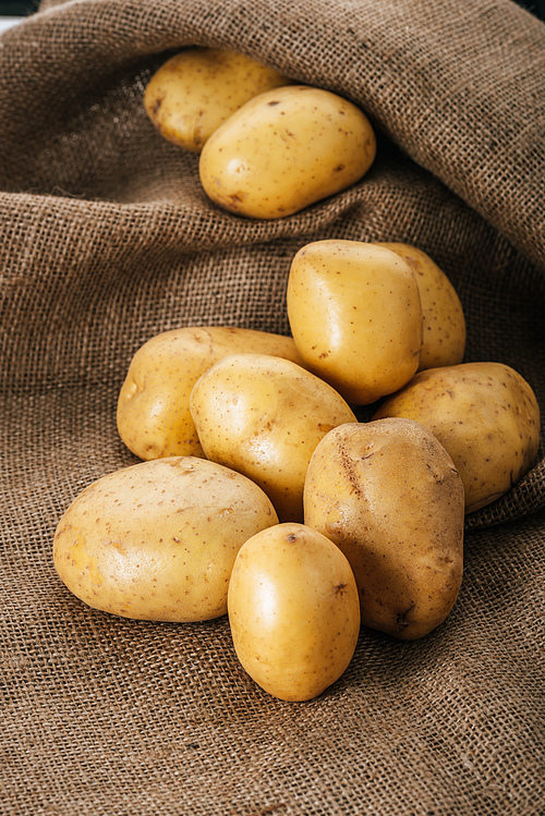 organic raw potatoes on brown rustic sackcloth