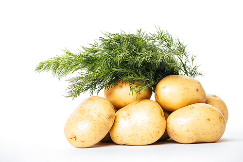 raw potatoes with fresh dill on white background