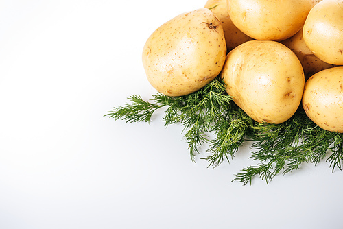 raw potatoes with fresh dill on white background