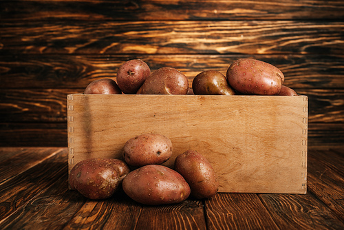 fresh ripe potatoes in box and around on wooden background