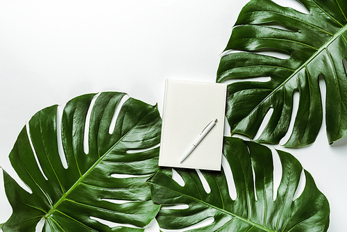 top view of notebook with pen on green palm leaves on white background