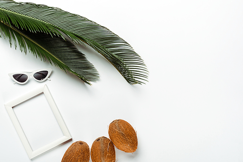 top view of green palm leaves, sunglasses, coconuts and square frame on white background