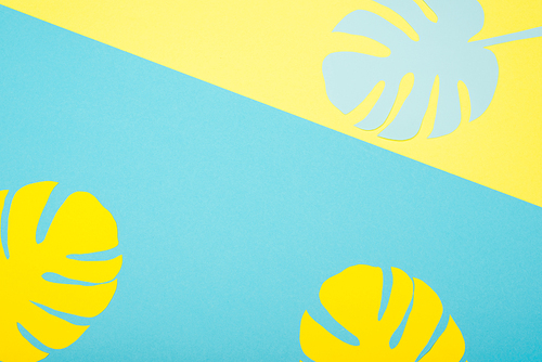 top view of paper cut palm leaves on blue and yellow background