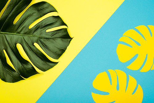 top view of yellow paper cut palm leaves and natural green on blue background