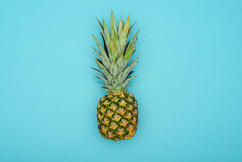 top view of ripe pineapple on blue background