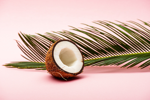 green palm leaf and fresh coconut half on pink background