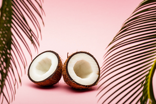 selective focus of green palm leaves and fresh coconut halves on pink background