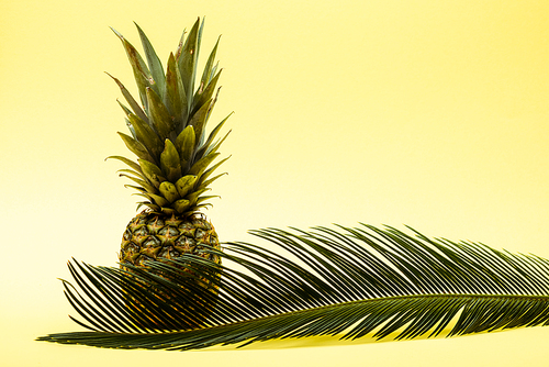 delicious sweet pineapple and palm leaf on yellow background