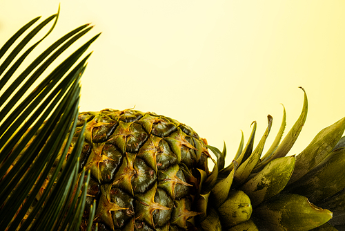 delicious sweet pineapple and palm leaf isolated on yellow