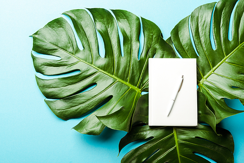 top view of blank notepad with pen on green palm leaves on blue background