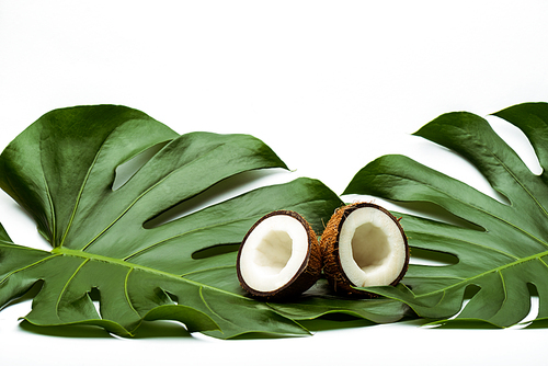 green palm leaves and coconut halves on white background