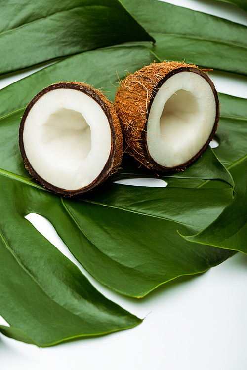 green palm leaves and coconut halves on white background