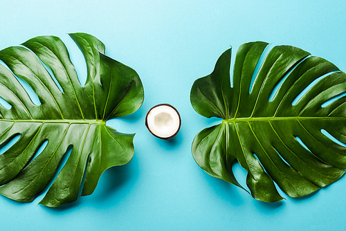 top view of green palm leaves and coconut half on blue background