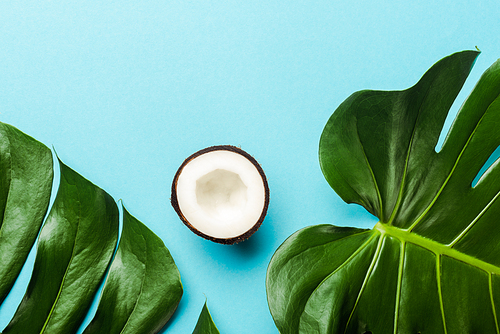 top view of green palm leaves and coconut half on blue background