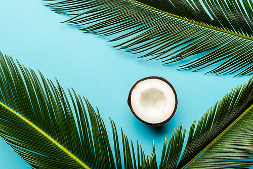 top view of green palm leaves and coconut half on blue background