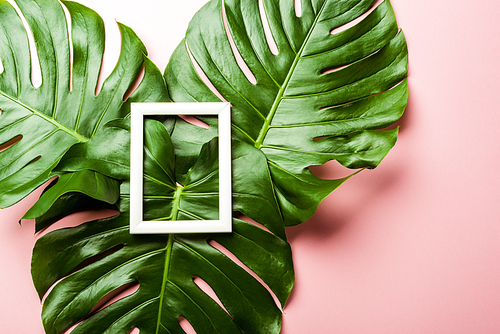 top view of fresh green palm leaves and square frame on pink background