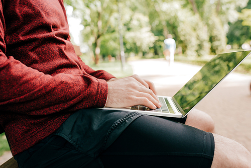 Cropped view of freelancer using laptop in park