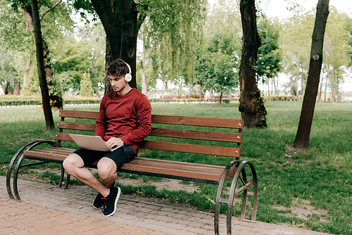 Handsome man in headphones using laptop on bench in park
