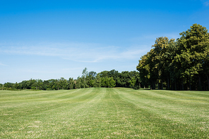 trees with green leaves on green grass against blue sky with clouds