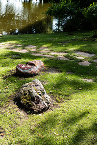 selective focus of stones on green grass near lake in park