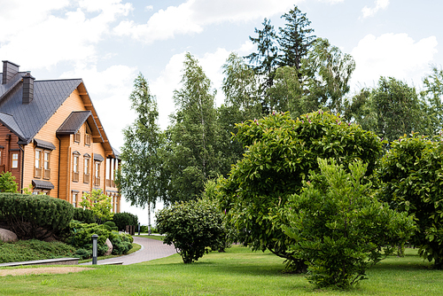 green bushes, trees and pines near house and walkway in summertime