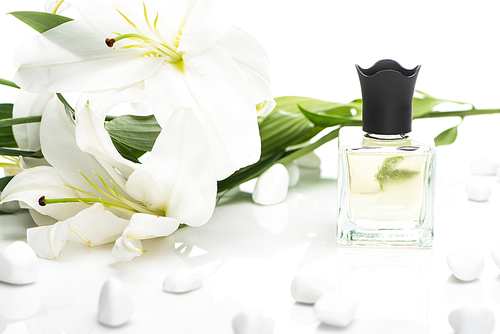home perfume in bottle near spa stones and lilies on white background