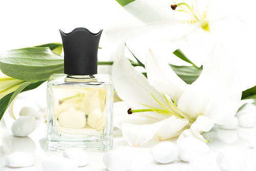 home perfume in bottle near spa stones and lilies on white background
