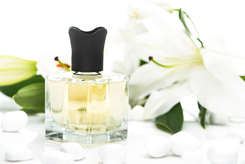 selective focus of home perfume in bottle near spa stones and lilies on white background