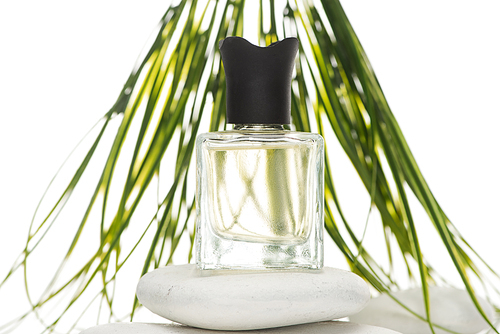 selective focus of home perfume in bottle on spa stone on white background