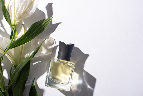 top view of home perfume in bottle near lilies on white background
