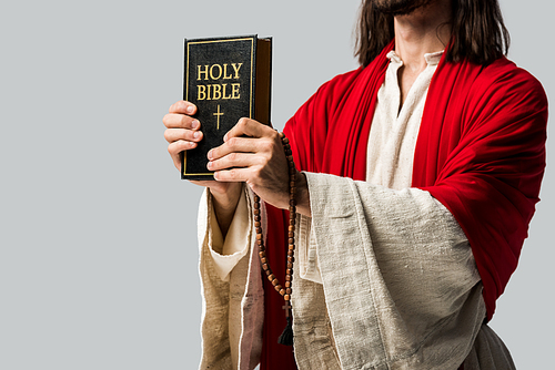 cropped view of holding holy bible isolated on grey